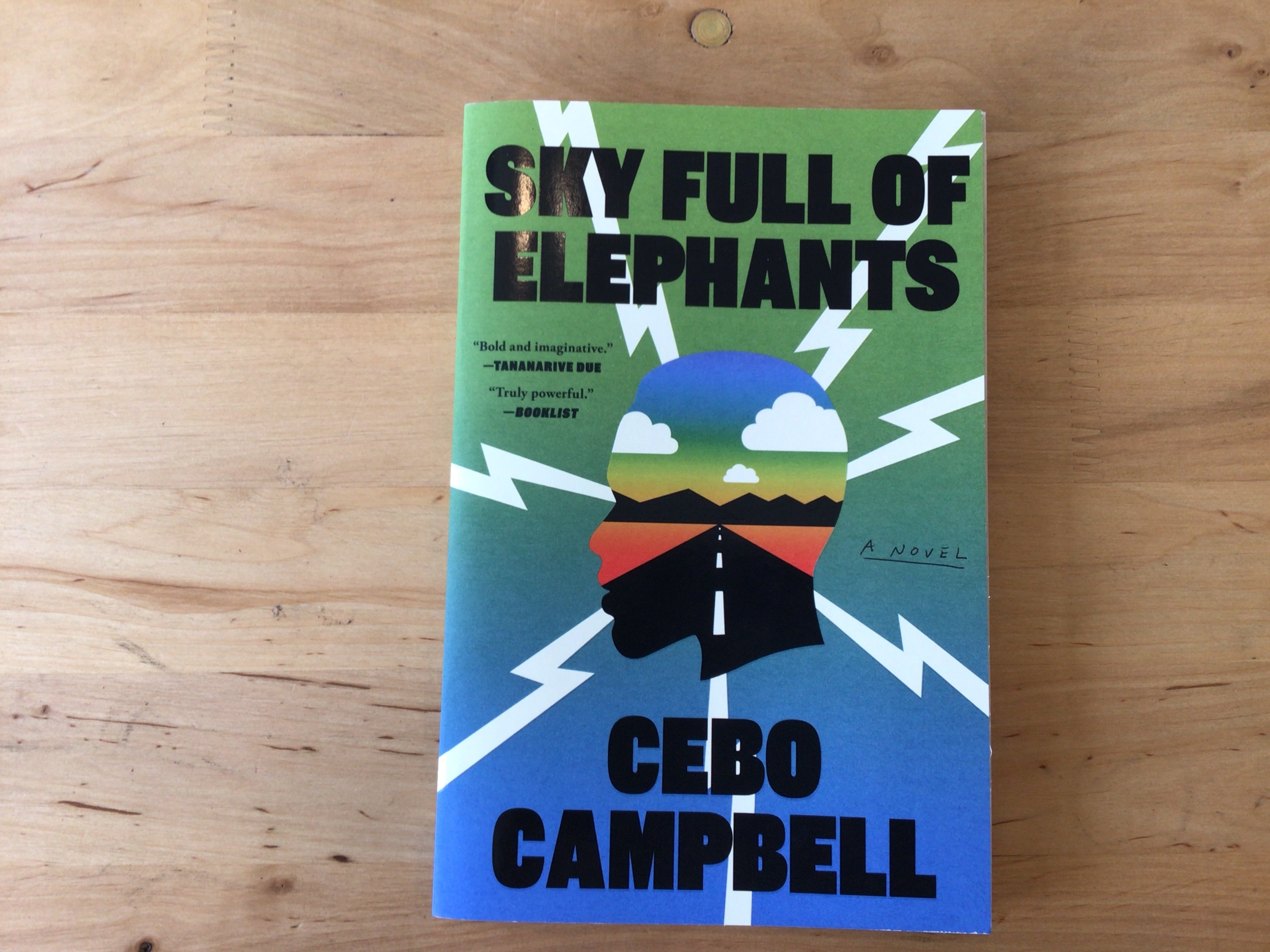 Sky Full Of Elephants by Cebo Campbell