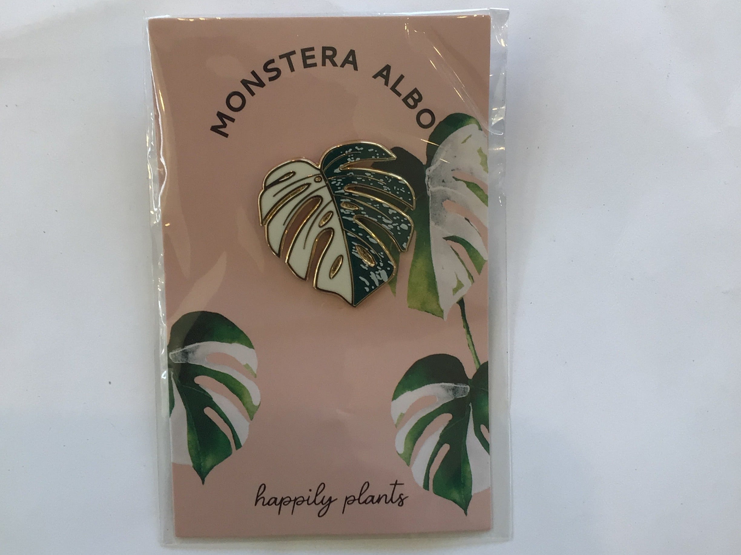 Monstera Albo Pin
