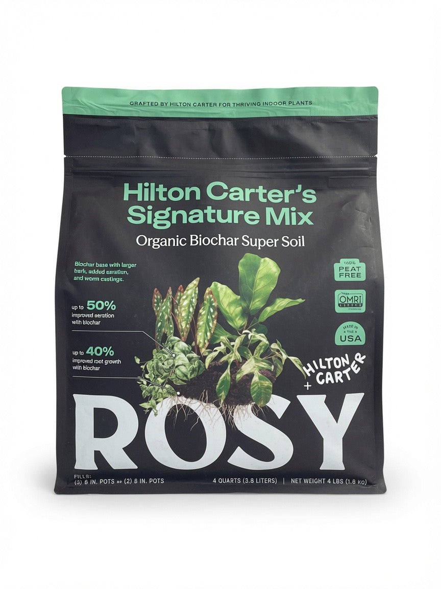 4qt Hilton Carter's Signature Potting Mix