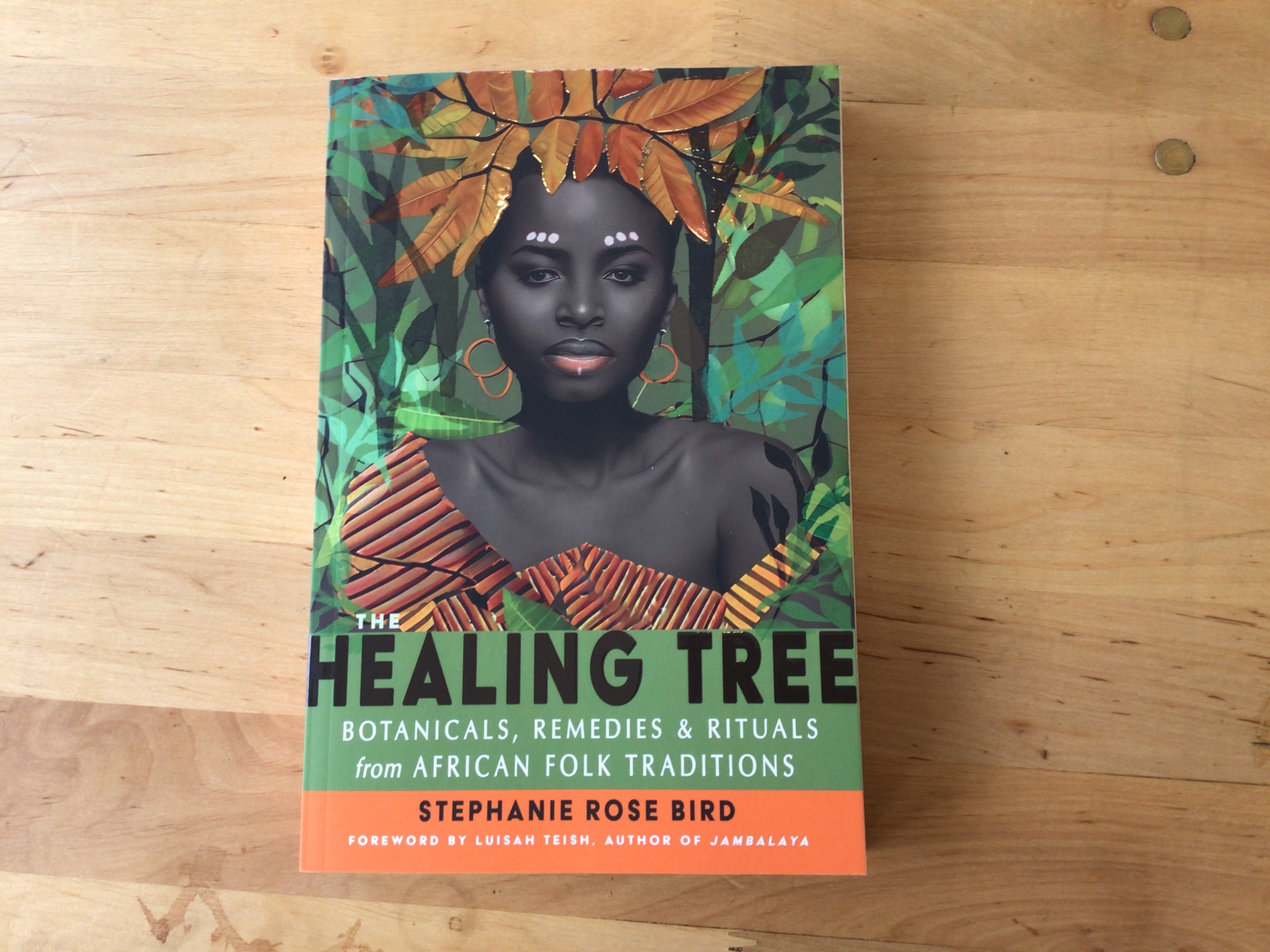 The Healing Tree By Stephanie Rose bird