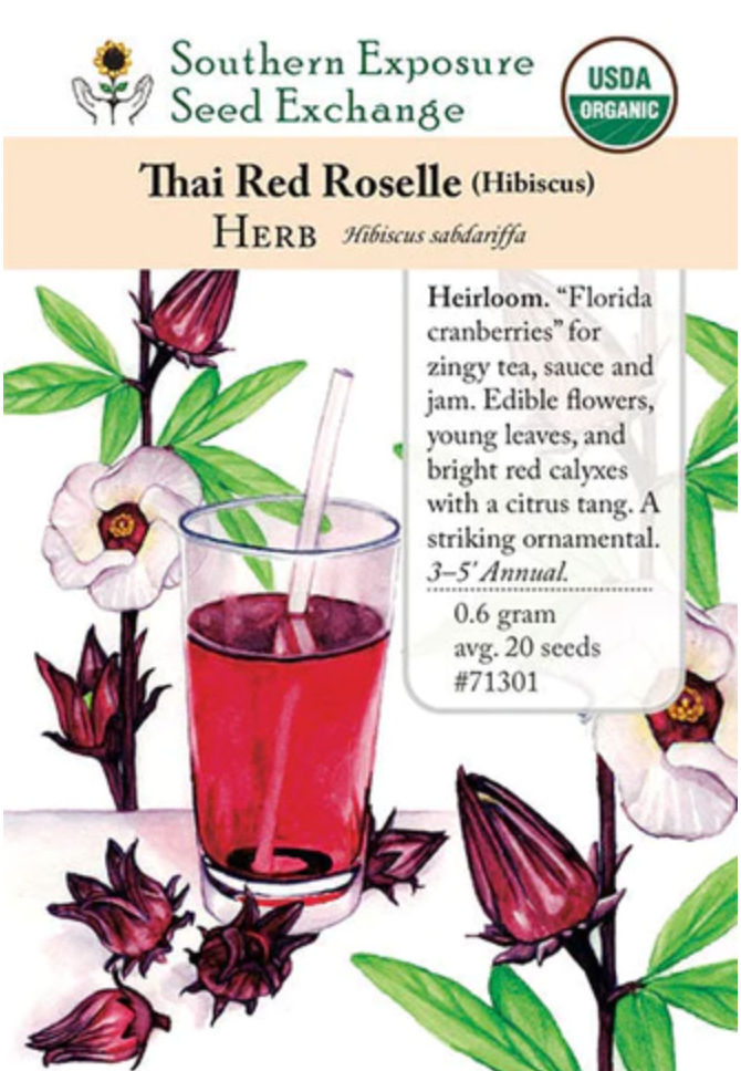 hibiscus tea plant seeds Hibiscus,Thai Red Roselle Seed – Plant and People