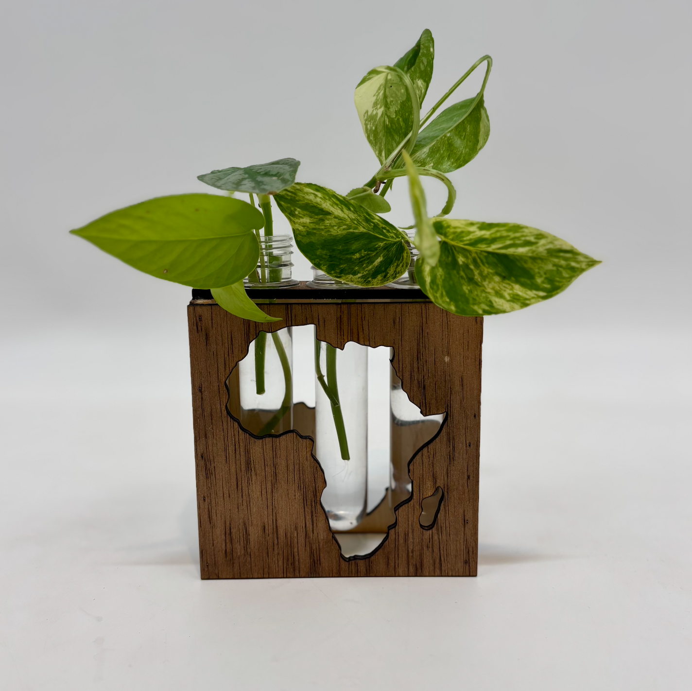 Continental Propagation Stand