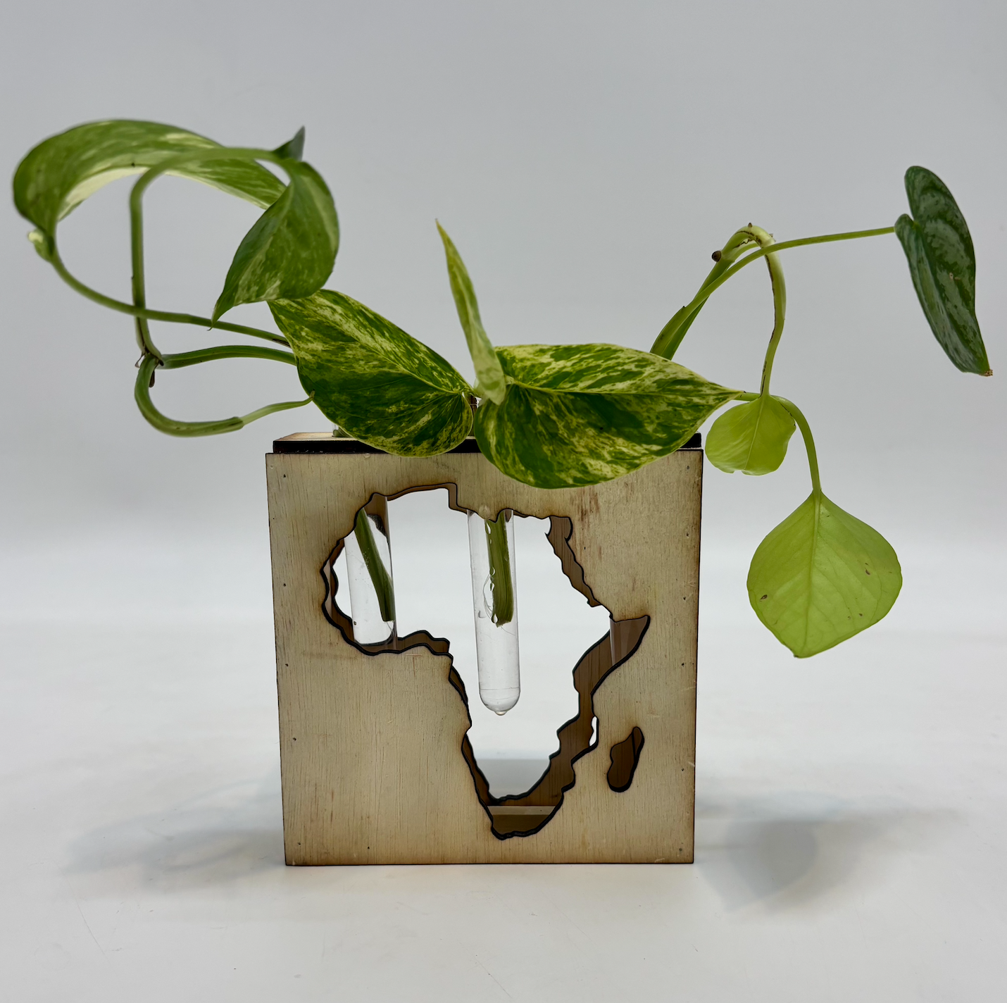 Continental Propagation Stand