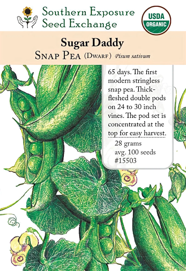 Sugar Daddy Snap Pea