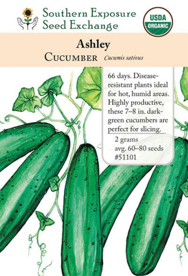 Ashely Cucumber