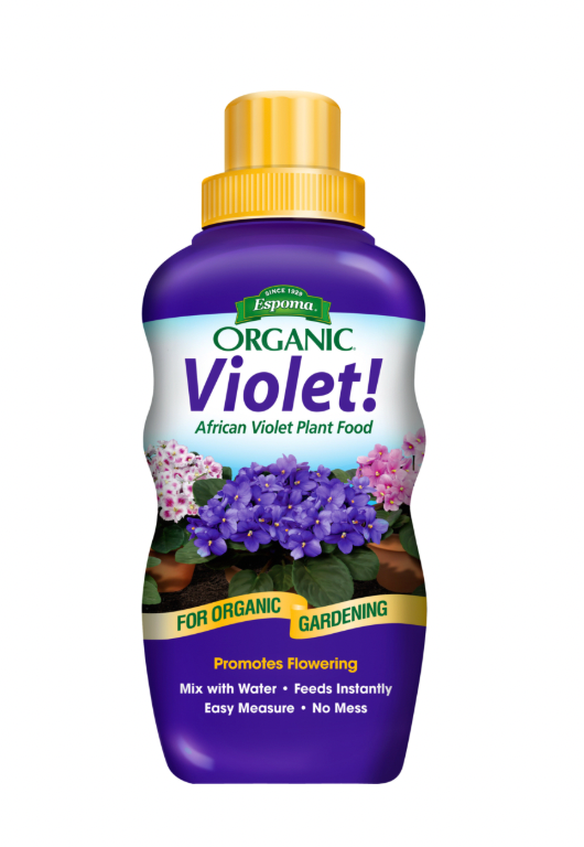 African Violet Food