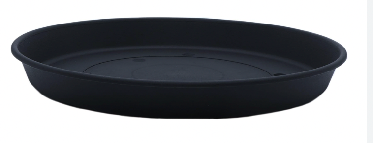Prima Saucer in Black