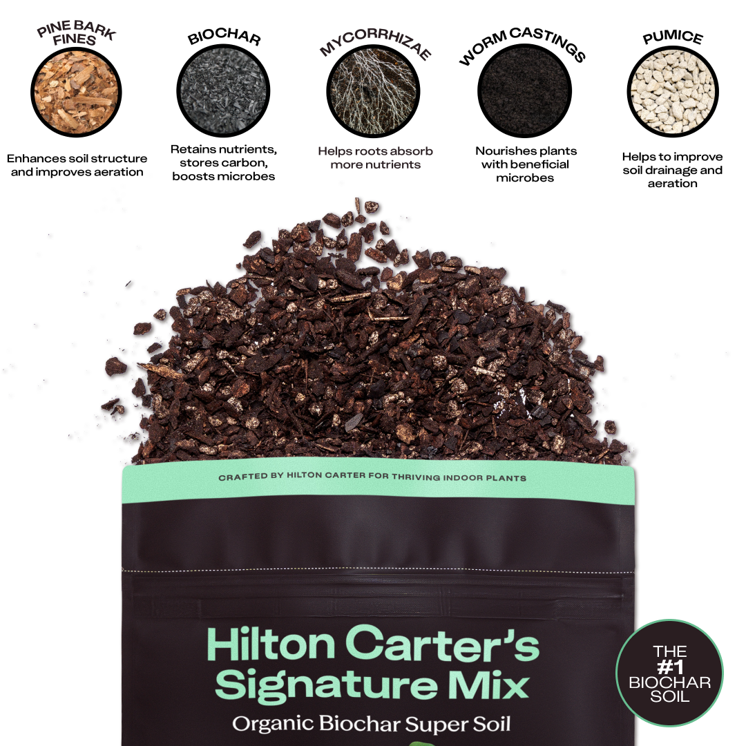 4qt Hilton Carter's Signature Potting Mix