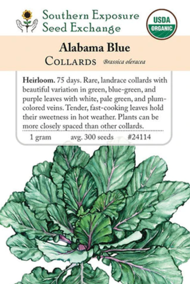 Alabama Blue Collard Seed