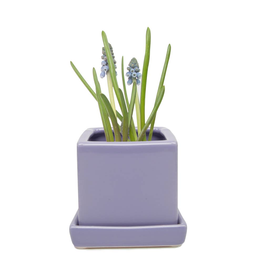 Cube Pot With Saucer And Drainage Hole: Lavender