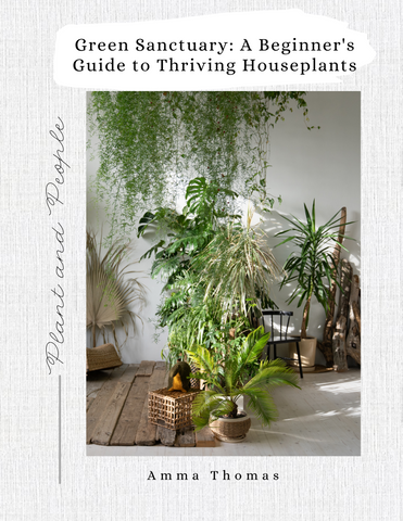 Green Haven: The Beginner's Guide to Thriving Houseplants