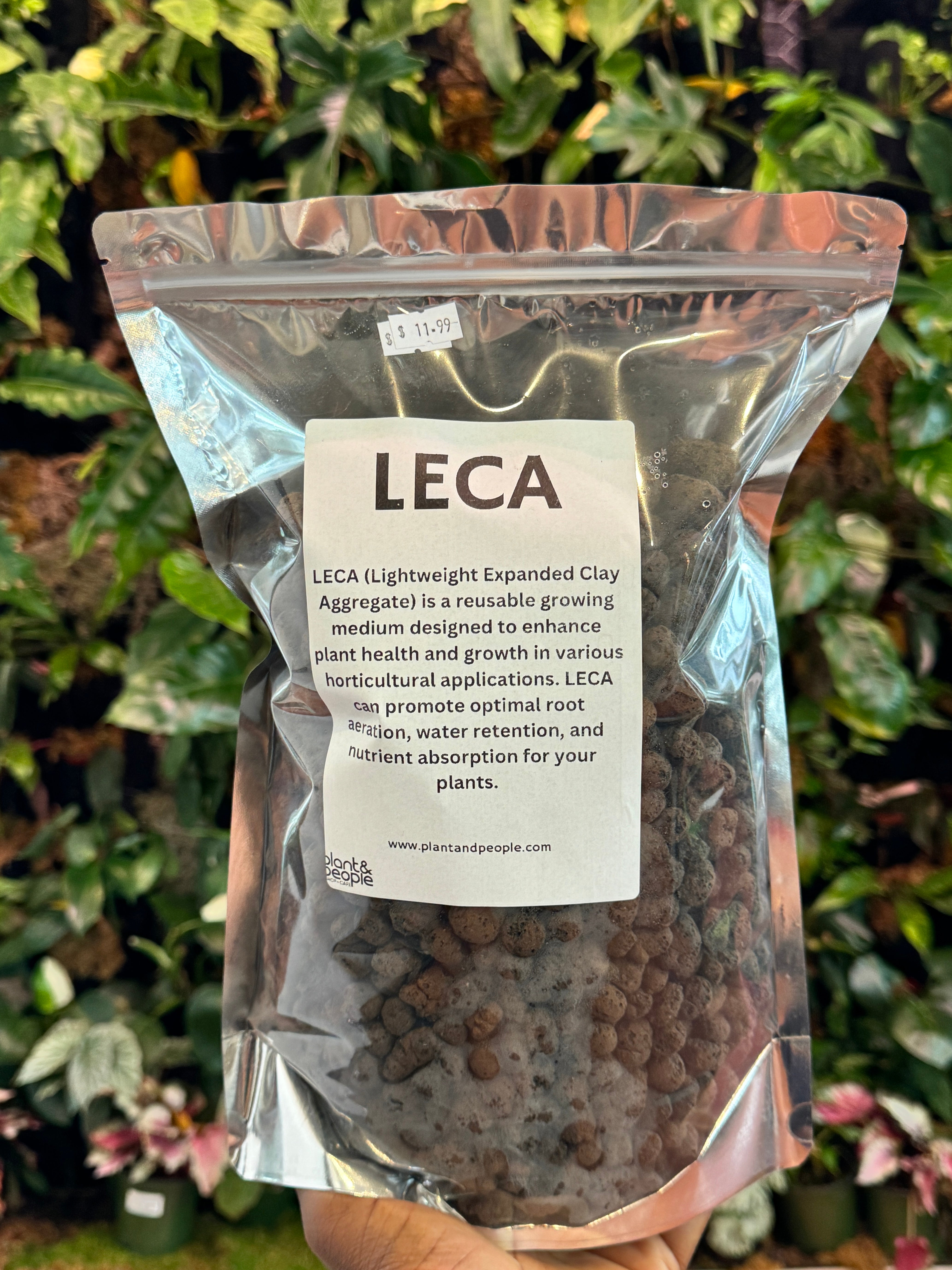 LECA