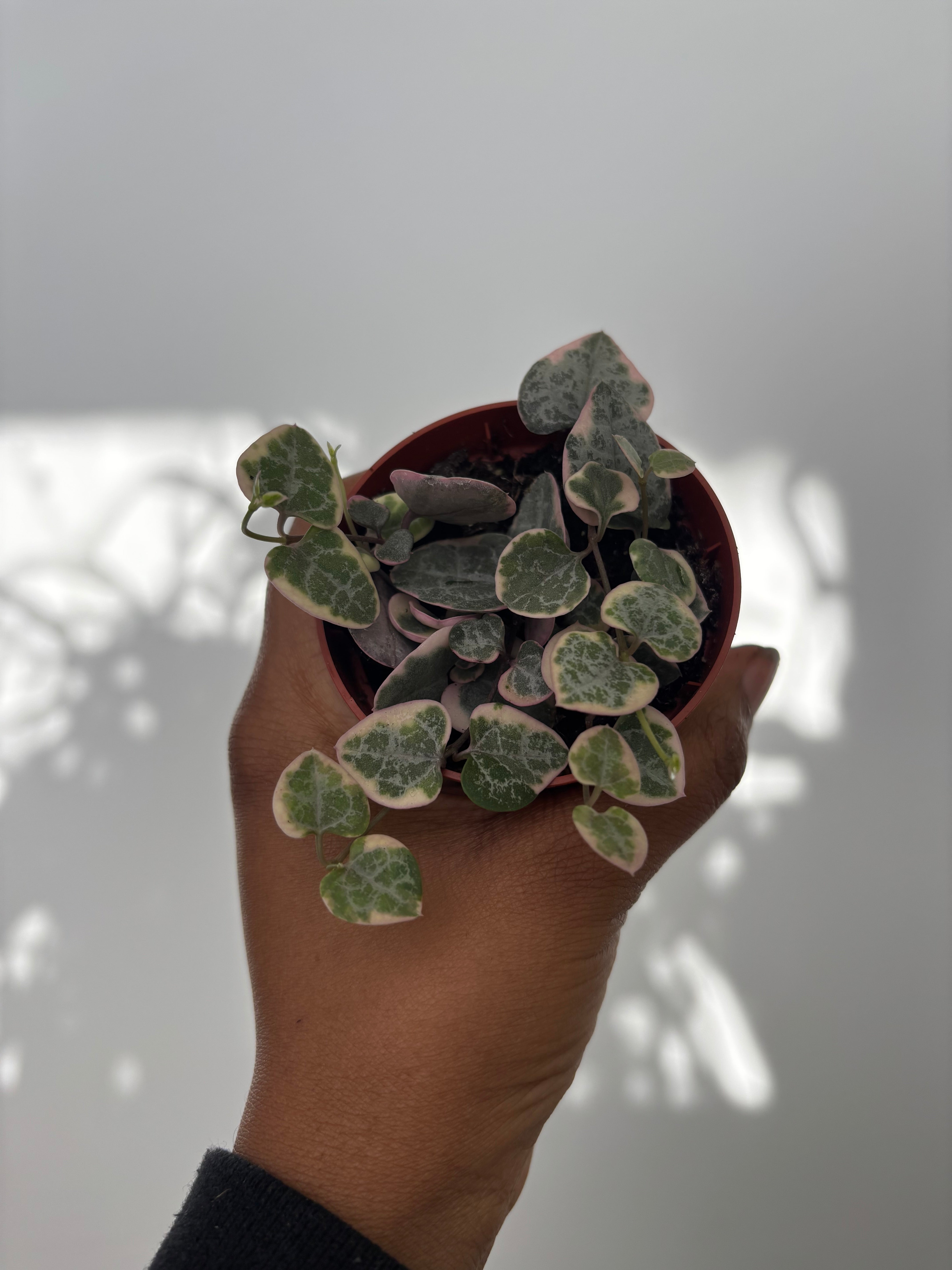 "Pretty Pink" String of Hearts