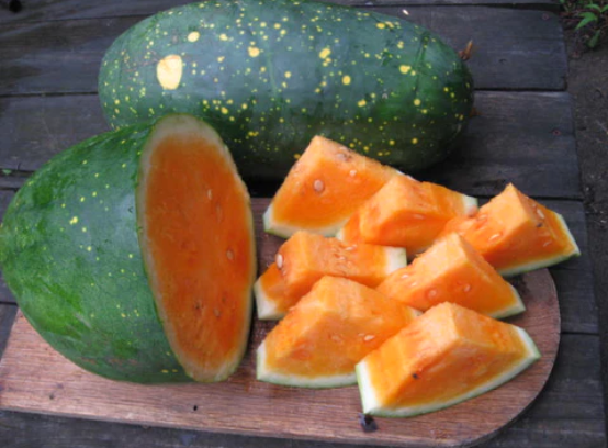 Moon And Stars Watermelon, Yellow Fleshed  Seeds