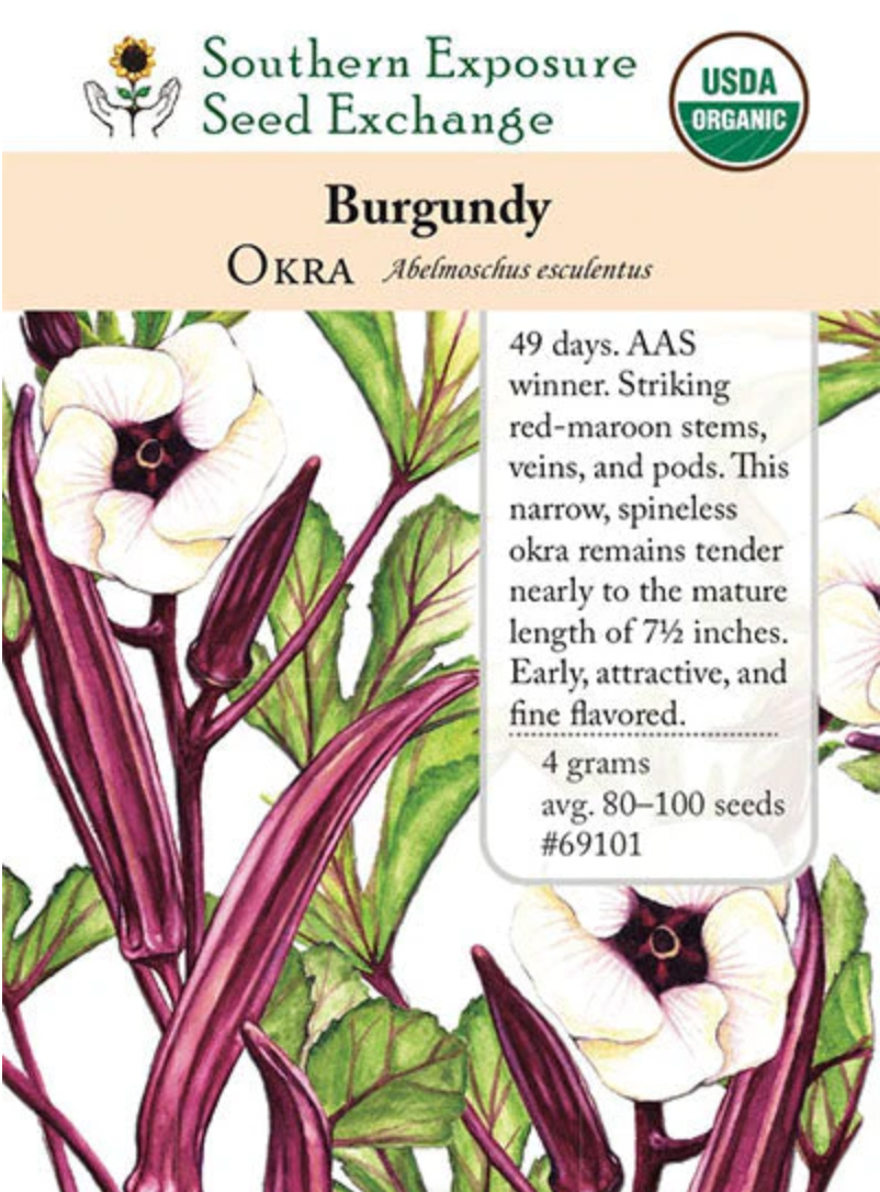 Burgundy Okra Seeds