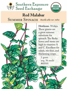 Malabar, Red Seeds