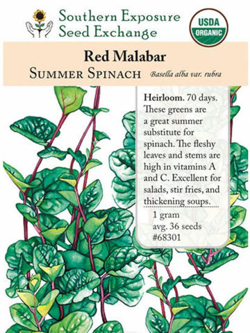 Malabar, Red Seeds