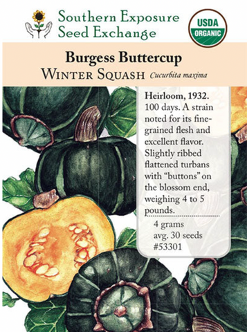 Buttercup, Burgess Squash Seeds