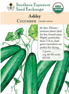 Ashley Cucumber Seeds