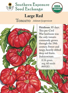 Large Red Tomato Seeds