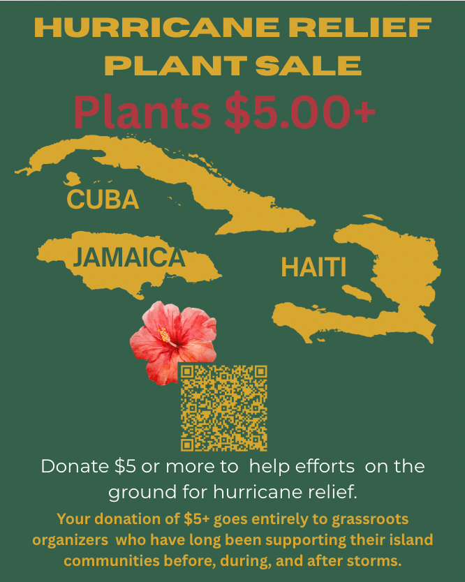 Hurricane Relief  Plants