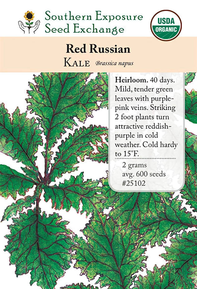 Red Russian Kale