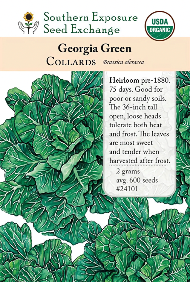 Georgia Green Collards – Plant and People