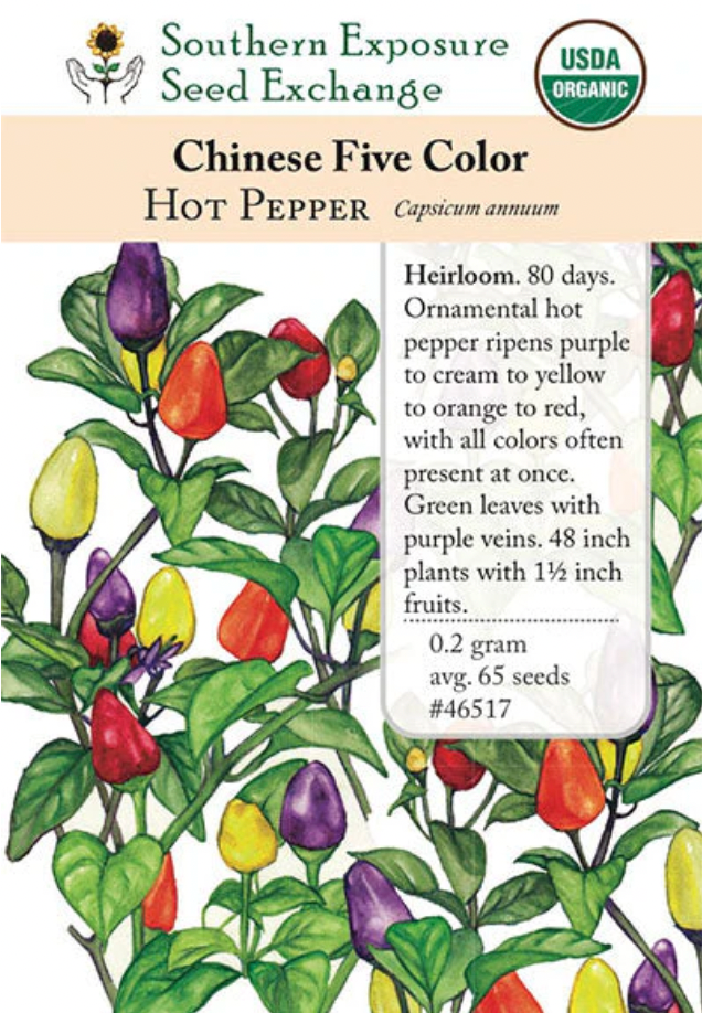 Chinese Five-Color Pepper