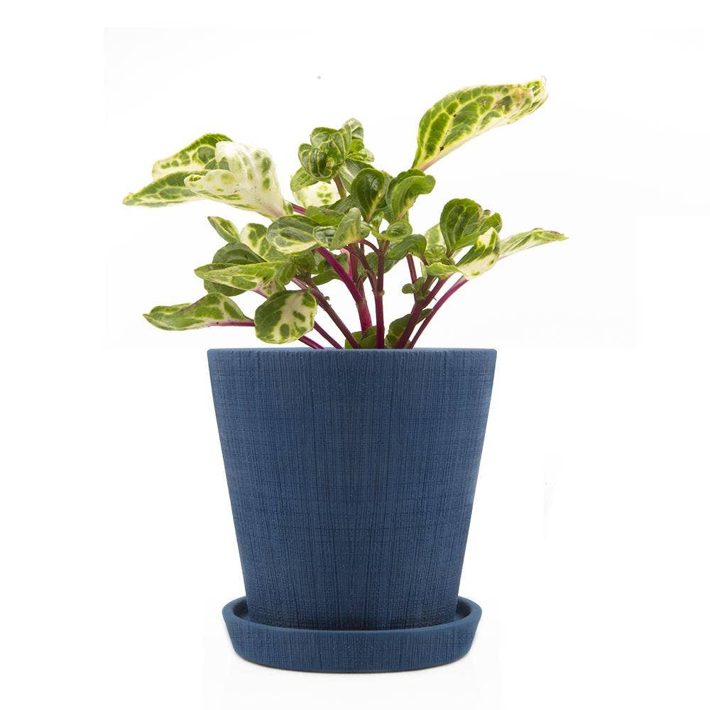 Planter Pots With Drainage Holes: Blue