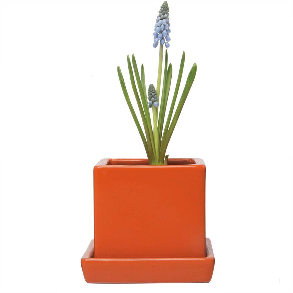 Cube Pot With Saucer And Drainage: Orange