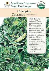 Champion Collard Seeds