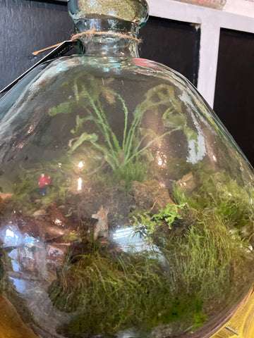 Terrarium